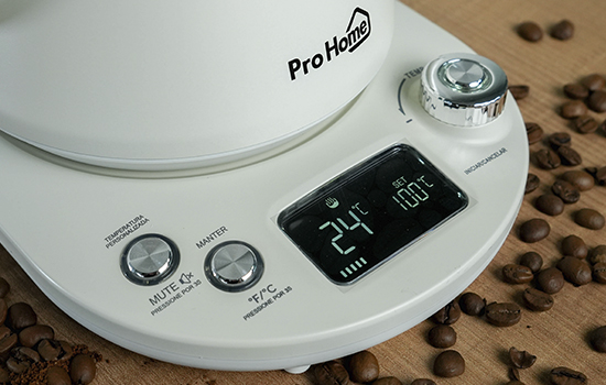 Moedor de café Pro Home Supreme