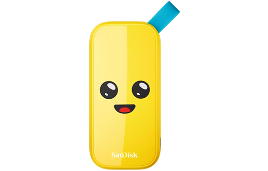 View_-_SFV22H2F__back_logo