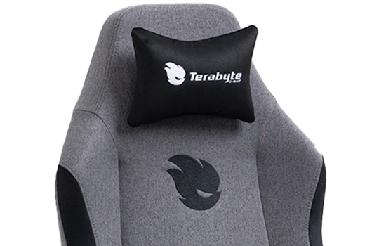 Cadeira Gamer Terabyte Style