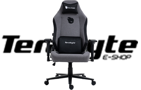 Cadeira Gamer Terabyte Style
