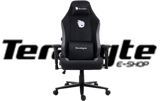 Cadeira Gamer Terabyte Style