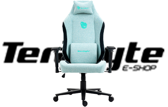 Cadeira Gamer Terabyte Style