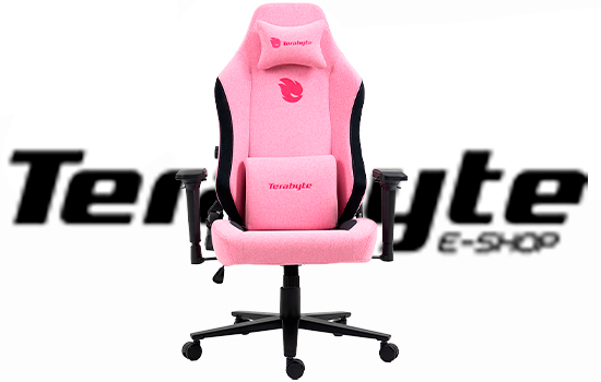 Cadeira Gamer Terabyte Style